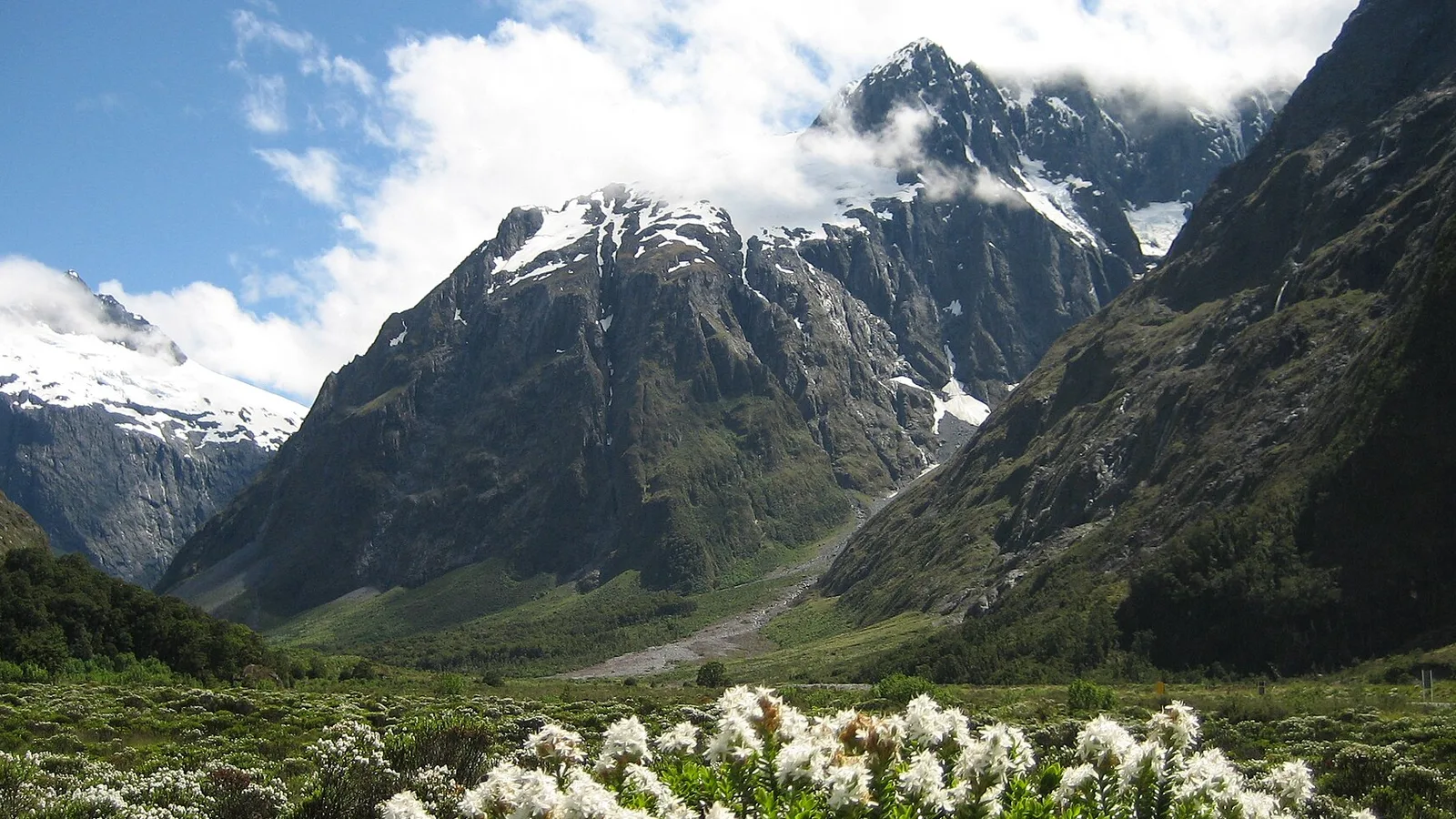 Four seasons across a New Zealand camping landscape