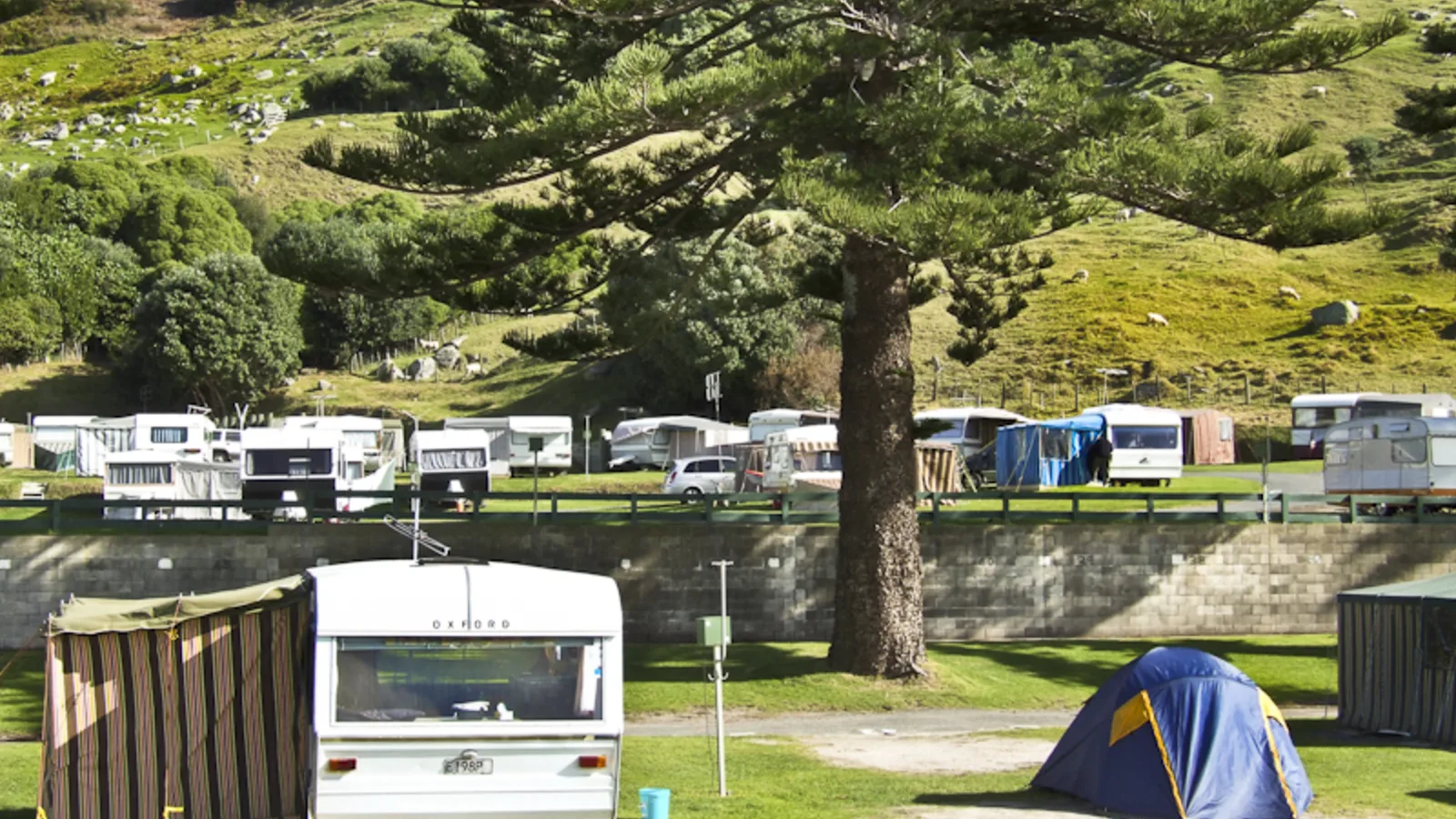 Tent and campervan at a New Zealand campsite