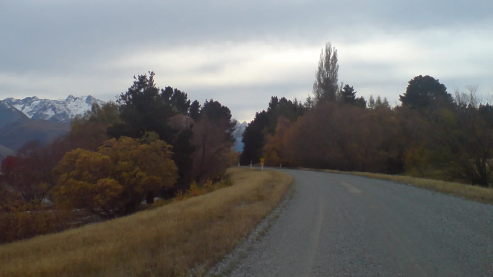 Left-side driving view on a New Zealand road