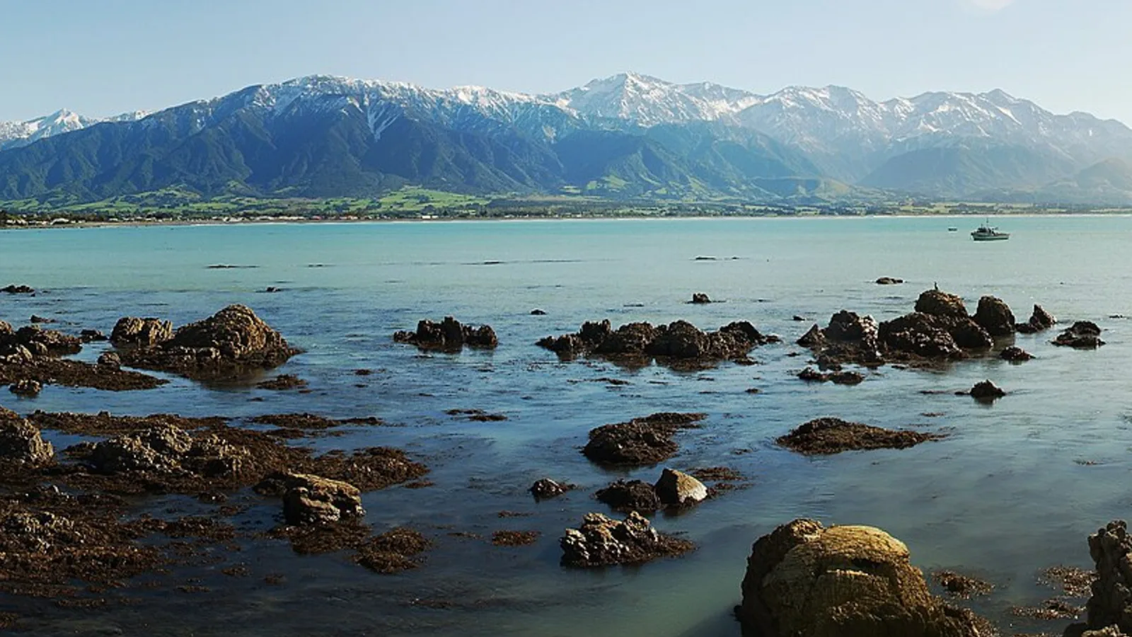 Kaikōura coast with mountains behind the road