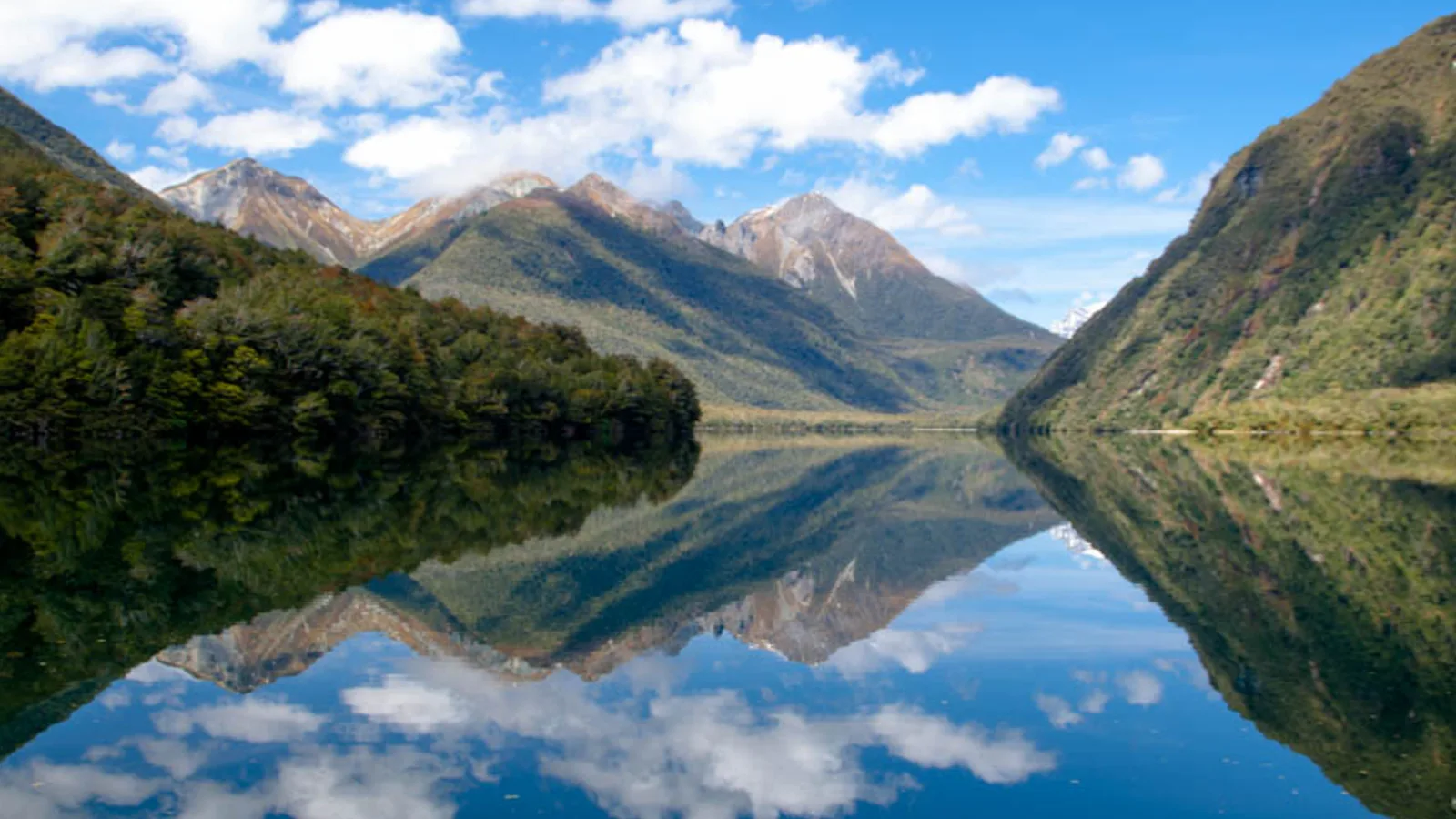 Fiordland campsite near sandfly habitat