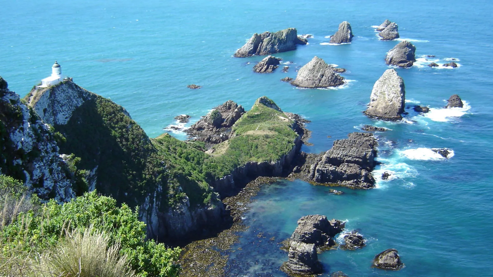 Catlins coast on the Southern Scenic Route