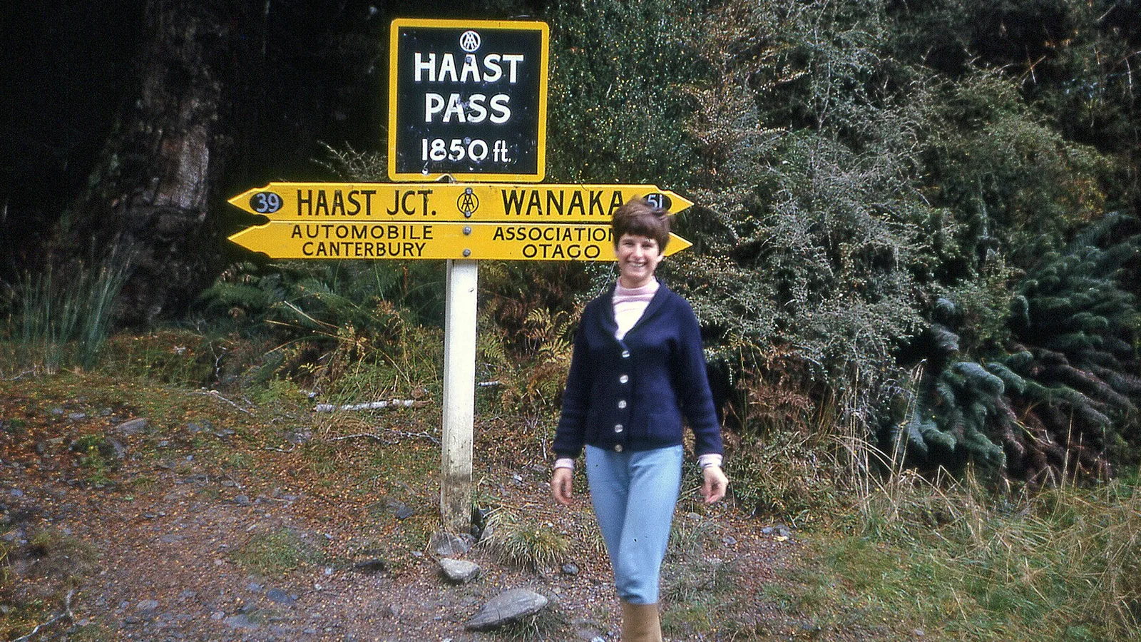 Haast Pass road through native forest