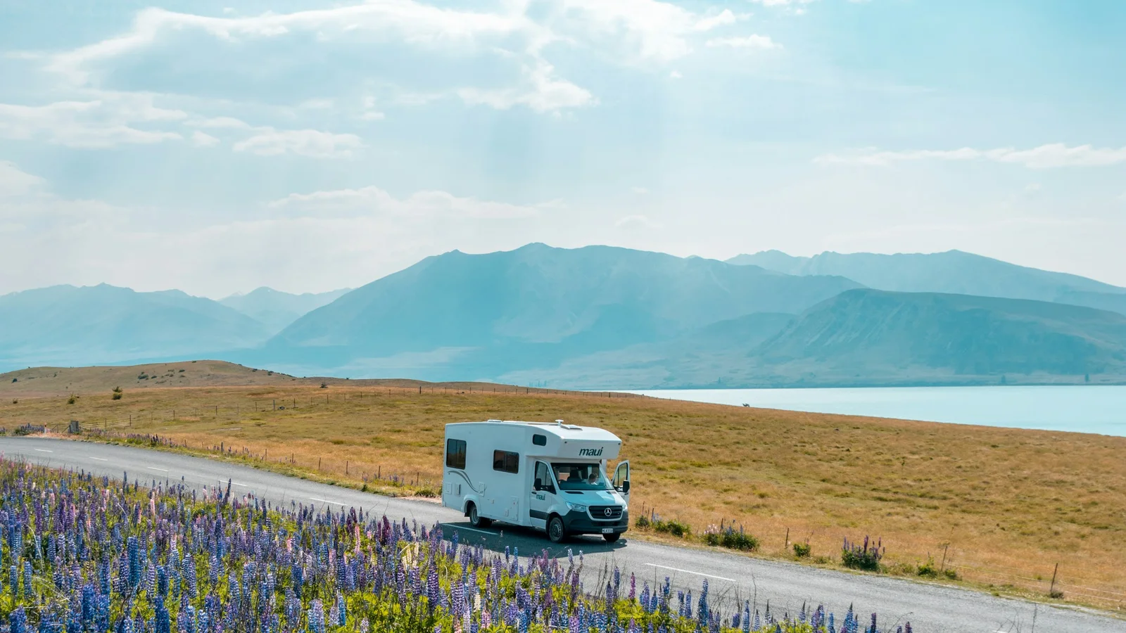 New Zealand vehicle inspection and registration labels