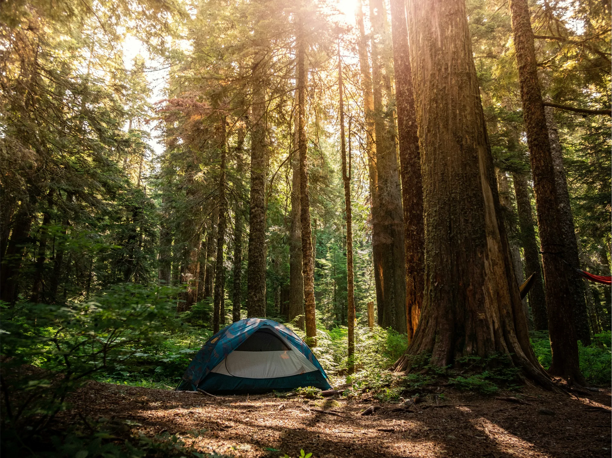 Essential NZ Camping Packing List with Regional Variants hero image placeholder